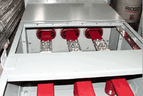 p11 480x321